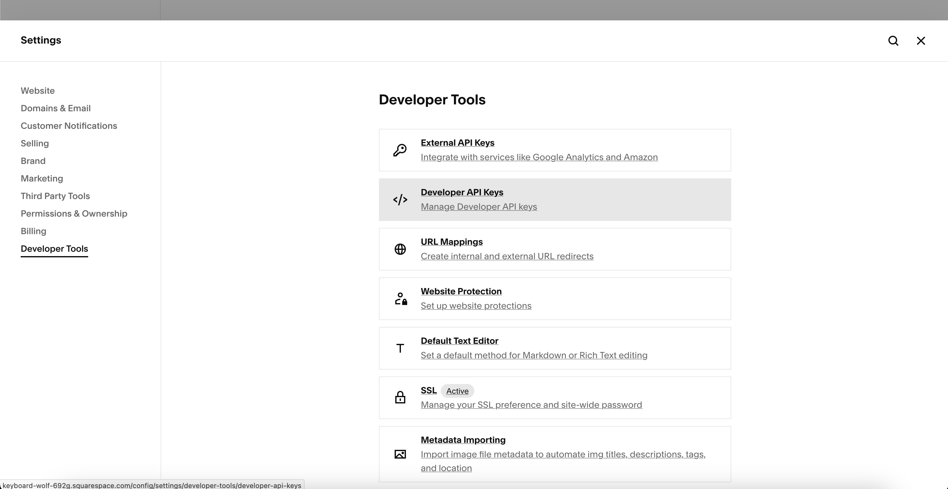 Squarespace Settings showing Developer API Keys option